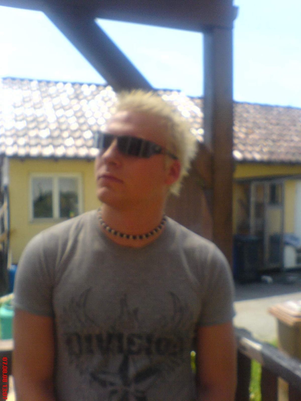 Geier